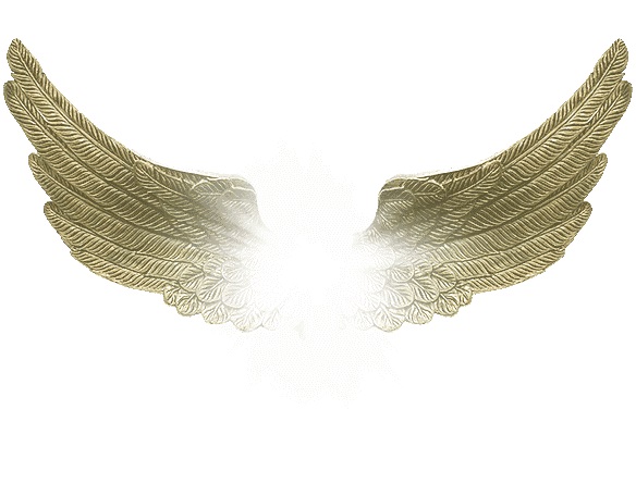Fluegel
