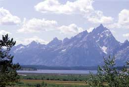 Royal Tetons Retreat